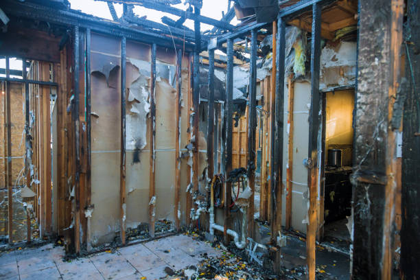Professional Smoke Damage Removal technician working in Tazewell, TN